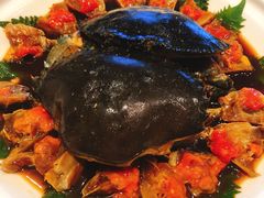 -新花城蟹粉馆(乌鲁木齐店)