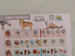 -牧马人宠物医院