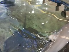 -鸿通城购物中心