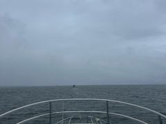 -大理洱海