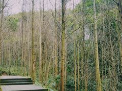 -凤栖山