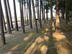-上海月湖雕塑公园