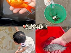 -乌村