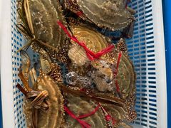 -外伶仃岛海鲜市场