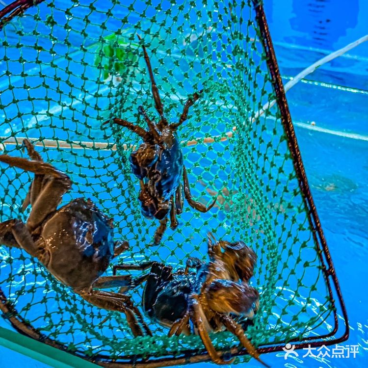 六月黄🦀的滋味😋谁懂啊⁉️