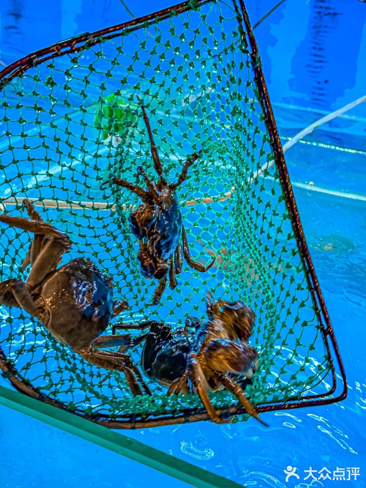 六月黄🦀的滋味😋谁懂啊⁉️