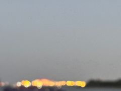 -吴淞炮台湾湿地森林公园烧烤区