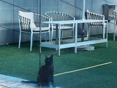 -UNIUNI(凯瑟琳广场店)