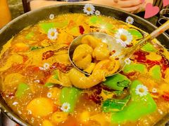 湘味肥肠火锅-湘肠香火锅店(团结湖店)