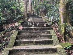 -七仙岭温泉国家森林公园