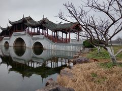 -上海海湾国家森林公园