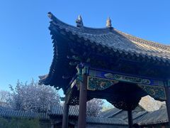 -趵突泉景区