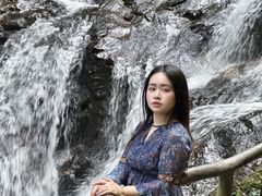 -莫里热带雨林景区