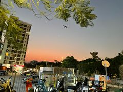 -宝安西湾红树林湿地公园