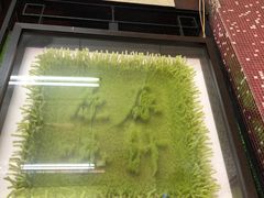 -公利真料竹蔗水(中环店)