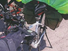 -美利达自行车(天通西苑一区店)