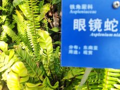 -国家植物园南园