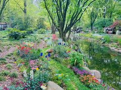 -上海共青森林公园