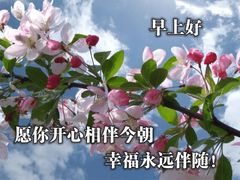 -华哥新鲜猪精品美食
