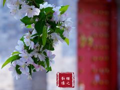 -海棠花溪(元大都城垣遗址公园)