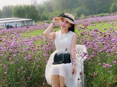 -北京东方普罗旺斯薰衣草庄园