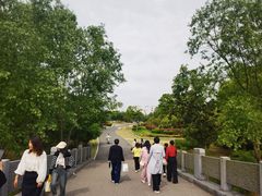 -尚贤河湿地