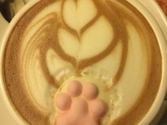 -猫色咖啡·猫咖