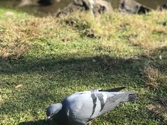 -可伦宾野生动物保护区