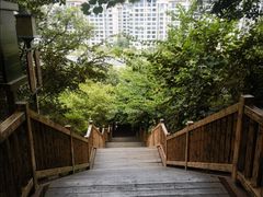 -桃花岭景区