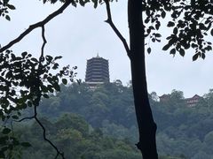 -青城山