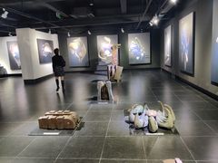 -成都许燎源现代设计艺术博物馆