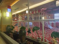 -菲拉拉漫温泉(东环路店)