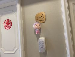 -百佳医疗级月子会所