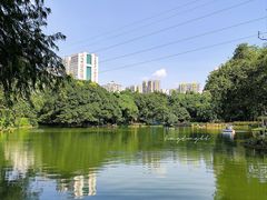 -晓港公园