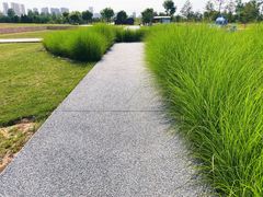 -汉长安城未央宫国家考古遗址公园