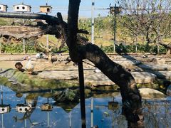 -河北村民俗体验园