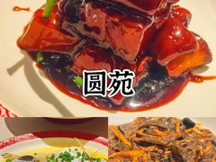 -圆苑(静安寺店)