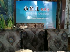 -小鱼儿海鲜港(新村十区店)
