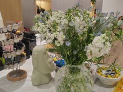 -Dr.Z dental仁康种植矫正中心