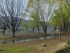 -长广溪湿地公园