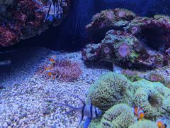 -成都浩海立方海洋公园