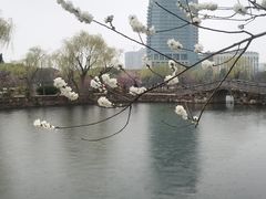 -无锡蠡湖国家湿地公园-蠡园