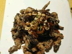 -素虎小呆鸟(西二旗店)