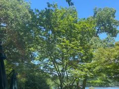 -浙江西子宾馆·瑶园咖啡厅