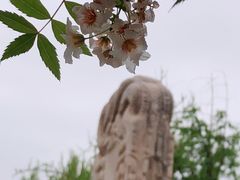-北京石刻艺术博物馆