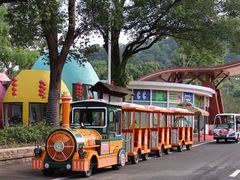 -东南花都花博园