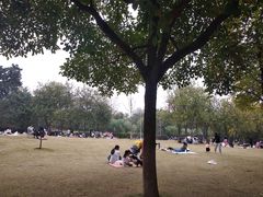 -雀儿山公园