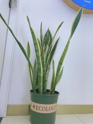 -普睿媞产后直营连锁(天鹅湖万达店)