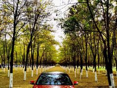 -呀路古热带植物园