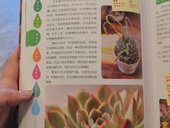 -五峰书院(南洋泾路店)